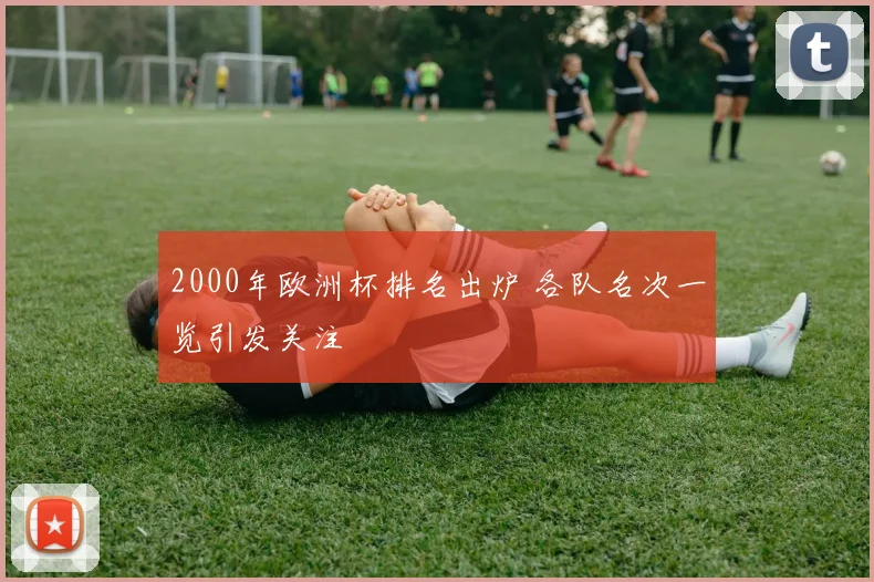 2000年欧洲杯排名出炉 各队名次一览引发关注
