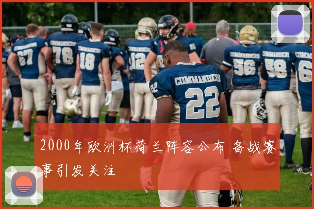 2000年欧洲杯荷兰阵容公布 备战赛事引发关注