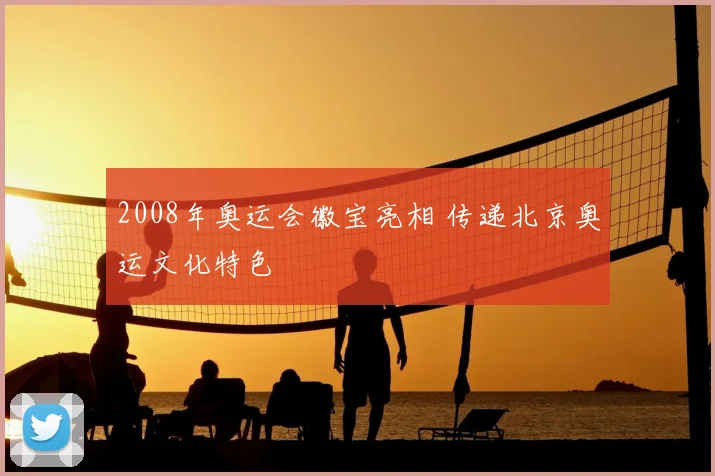 2008年奥运会徽宝亮相 传递北京奥运文化特色