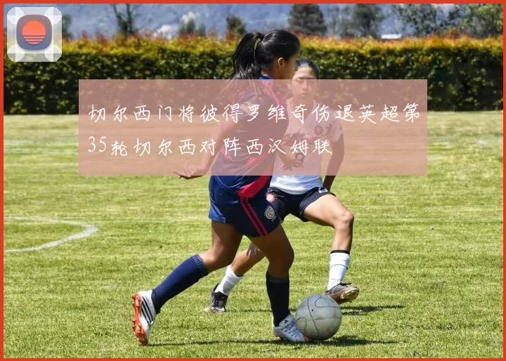 切尔西门将彼得罗维奇伤退英超第35轮切尔西对阵西汉姆联