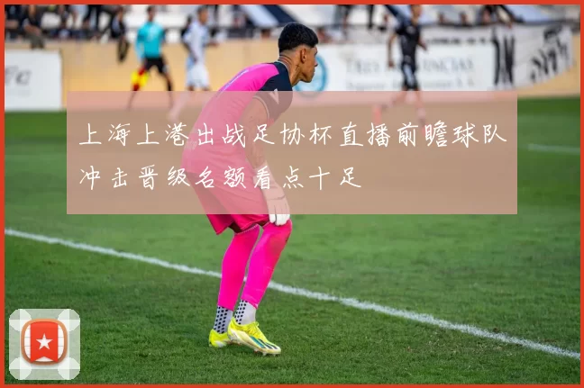 上海上港出战足协杯直播前瞻球队冲击晋级名额看点十足