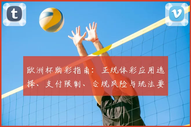欧洲杯购彩指南：正规体彩应用选择、支付限制、合规风险与玩法要点